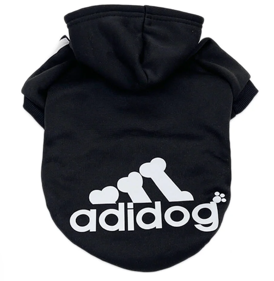 hoodie for a dachshund