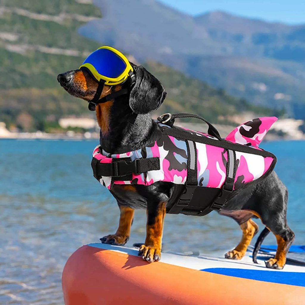 dachshund life vest