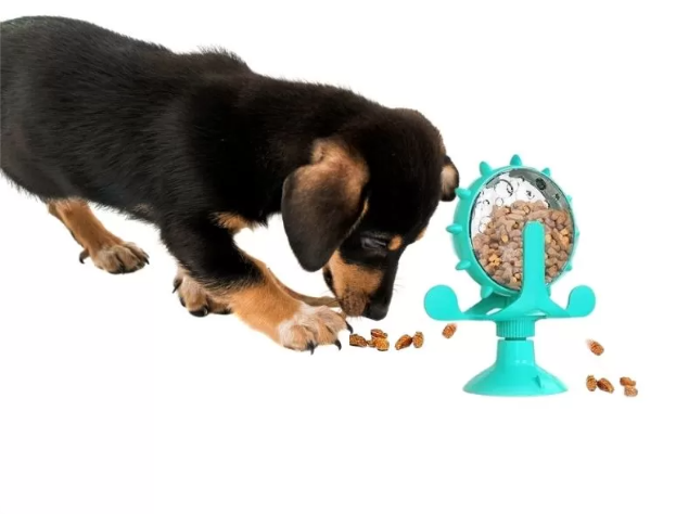 best dachshund toys