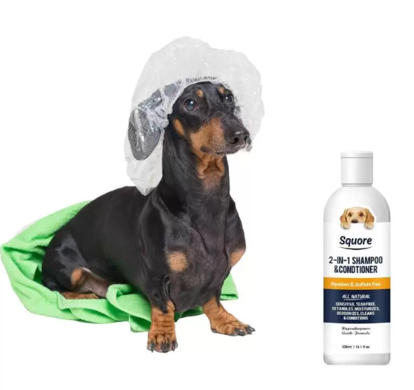 best dachshund shampoo