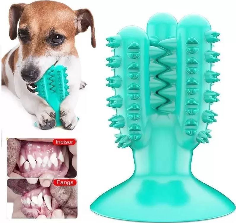 toy for doxies