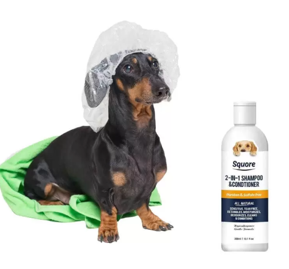 dachshund shampoo