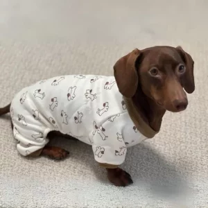 pjs for doxies