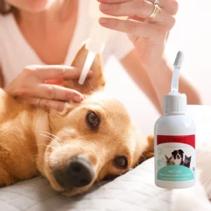 dachshund ear cleaner