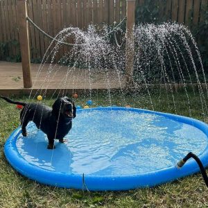 dachshund accessories