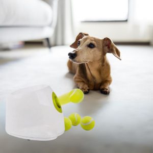 dachshund space accessories